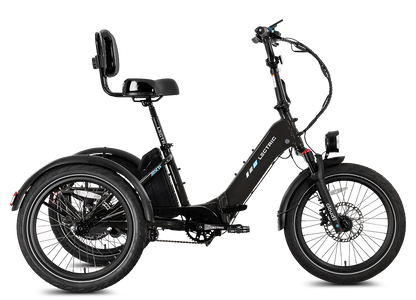 Lectric XP Trike 2