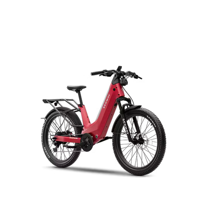 Subscription Segway Xafari